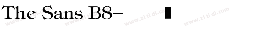 The Sans B8字体转换